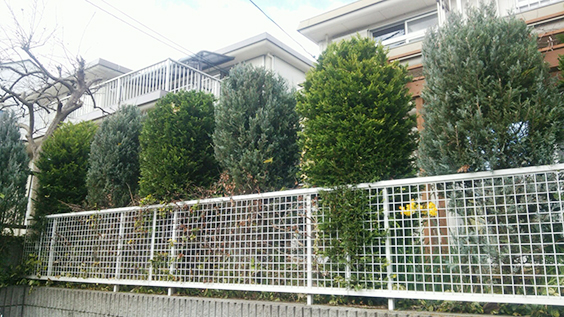 tree2