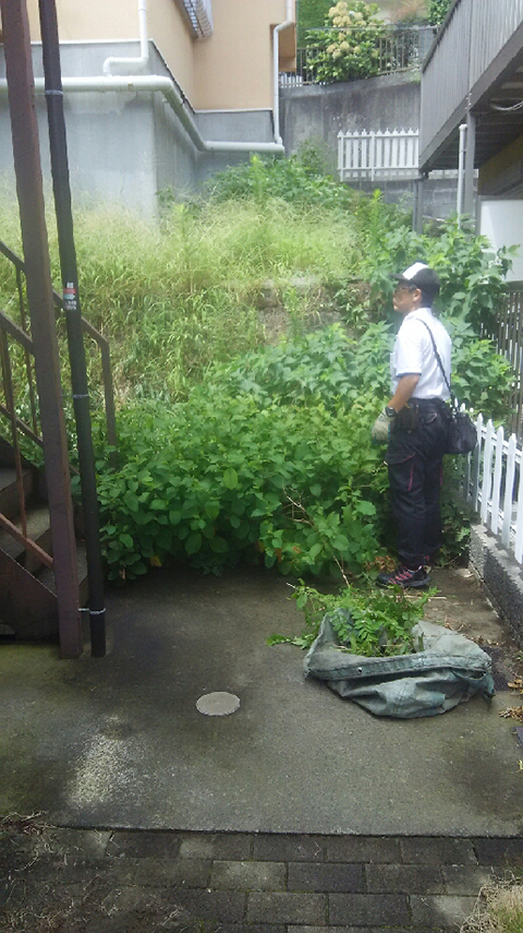 除草作業