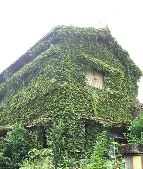 akiya2