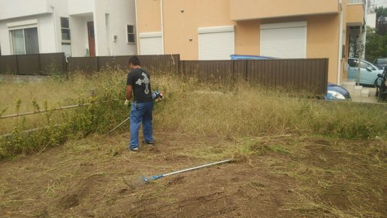 草刈りシーズン